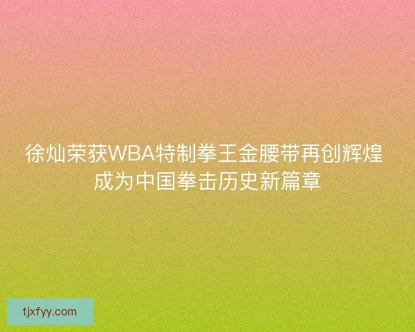 徐灿荣获WBA特制拳王金腰带再创辉煌 成为中国拳击历史新篇章